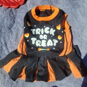 Trick Or Treat Halloween Dog Costume Dress